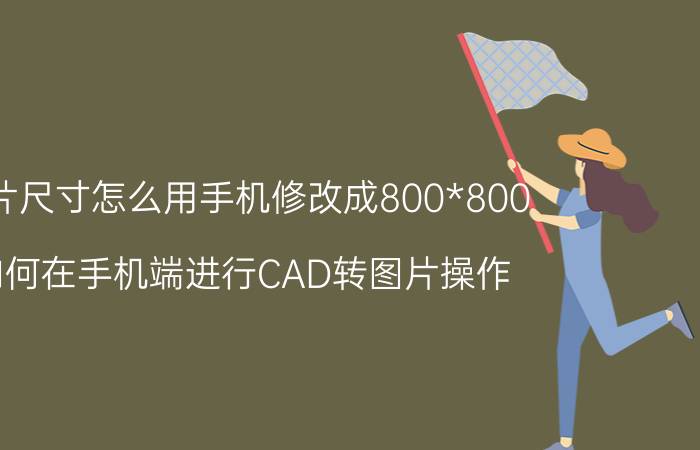 图片尺寸怎么用手机修改成800*800 如何在手机端进行CAD转图片操作？